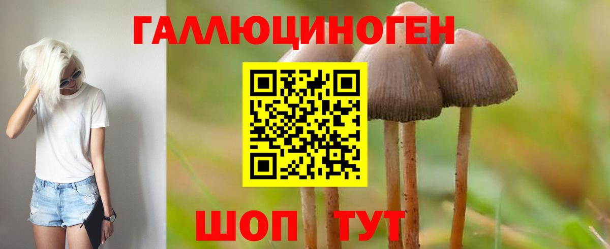 Псилоцибиновые грибы прущие грибы Красногорск